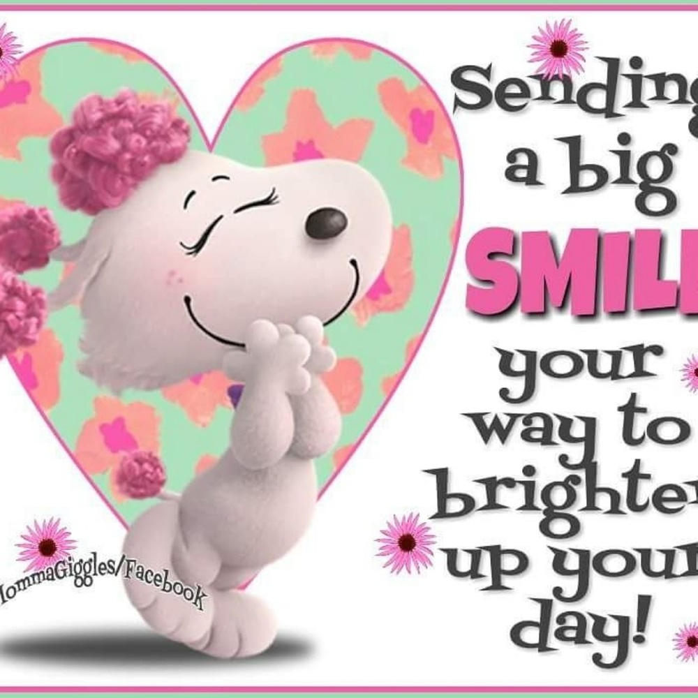 💖💖💖Smiles...Smiles...Smiles...Smiles...💖💖💖